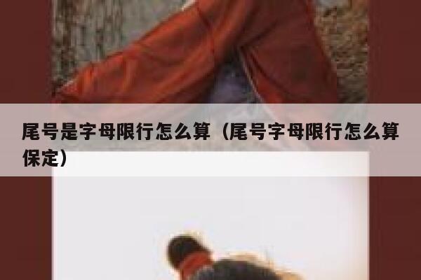 尾号是字母限行怎么算（尾号字母限行怎么算保定） 第1张