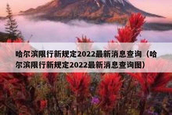 哈尔滨限行新规定2022最新消息查询（哈尔滨限行新规定2022最新消息查询图） 第1张