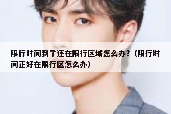 限行时间到了还在限行区域怎么办?（限行时间正好在限行区怎么办） 第1张