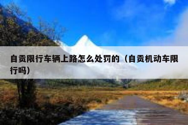 自贡限行车辆上路怎么处罚的（自贡机动车限行吗） 第1张