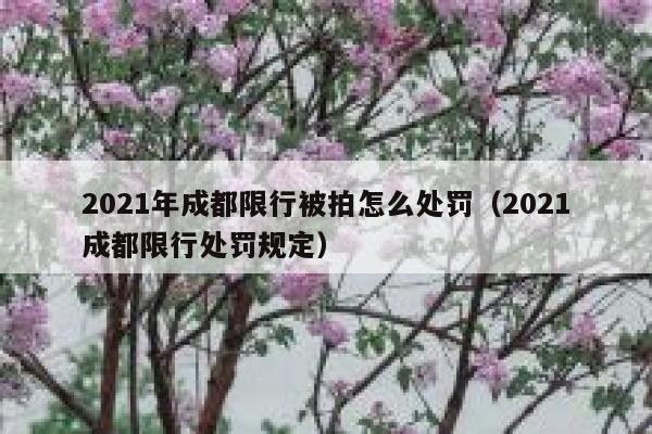2021年成都限行被拍怎么处罚（2021成都限行处罚规定） 第1张