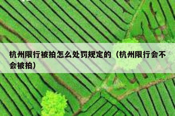 杭州限行被拍怎么处罚规定的（杭州限行会不会被拍） 第1张