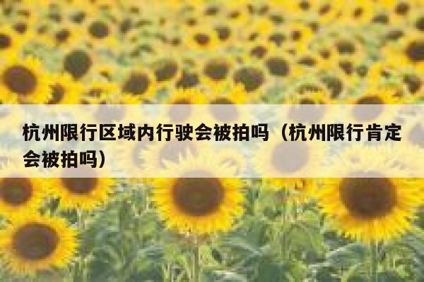 杭州限行区域内行驶会被拍吗（杭州限行肯定会被拍吗） 第1张