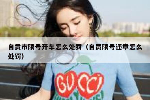 自贡市限号开车怎么处罚（自贡限号违章怎么处罚） 第1张
