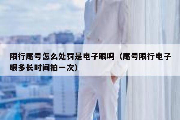 限行尾号怎么处罚是电子眼吗（尾号限行电子眼多长时间拍一次） 第1张