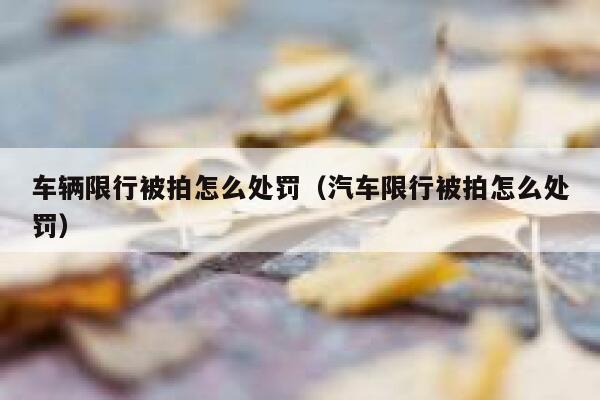 车辆限行被拍怎么处罚（汽车限行被拍怎么处罚） 第1张