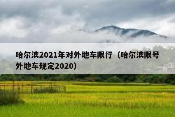 哈尔滨2021年对外地车限行（哈尔滨限号外地车规定2020） 第1张