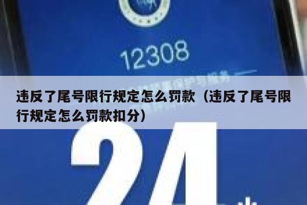 违反了尾号限行规定怎么罚款（违反了尾号限行规定怎么罚款扣分） 第1张