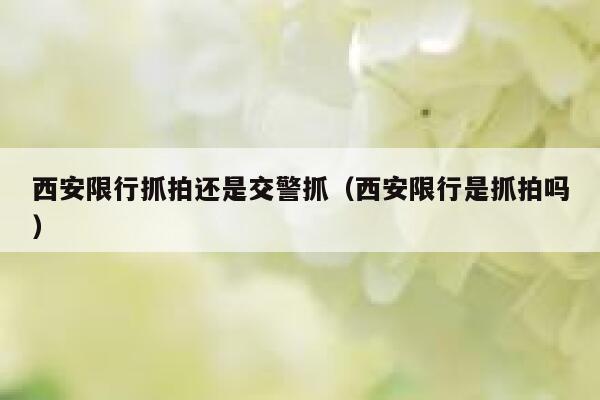西安限行抓拍还是交警抓（西安限行是抓拍吗） 第1张