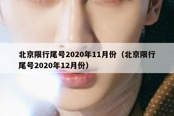 北京限行尾号2020年11月份（北京限行尾号2020年12月份） 第1张
