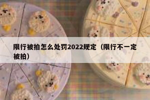 限行被拍怎么处罚2022规定（限行不一定被拍） 第1张