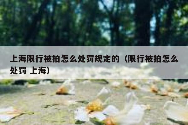 上海限行被拍怎么处罚规定的（限行被拍怎么处罚 上海） 第1张