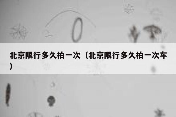 北京限行多久拍一次（北京限行多久拍一次车） 第1张