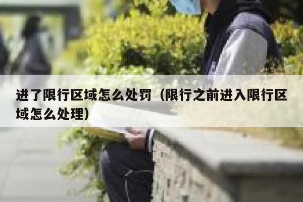 进了限行区域怎么处罚（限行之前进入限行区域怎么处理） 第1张
