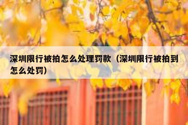 深圳限行被拍怎么处理罚款（深圳限行被拍到怎么处罚） 第1张