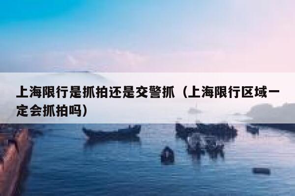 上海限行是抓拍还是交警抓（上海限行区域一定会抓拍吗） 第1张