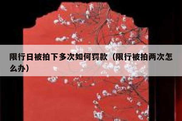 限行日被拍下多次如何罚款（限行被拍两次怎么办） 第1张