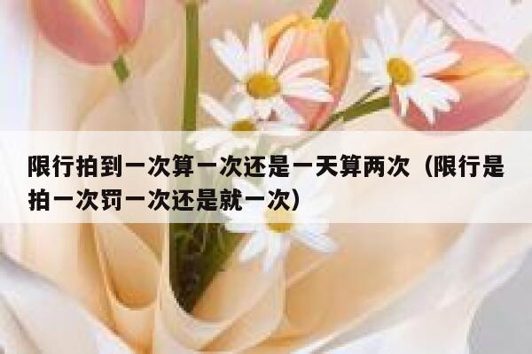 限行拍到一次算一次还是一天算两次（限行是拍一次罚一次还是就一次） 第1张