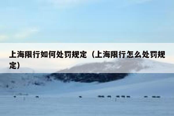 上海限行如何处罚规定（上海限行怎么处罚规定） 第1张