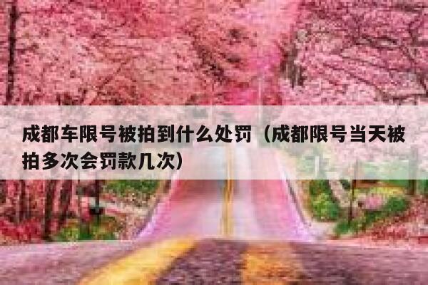成都车限号被拍到什么处罚（成都限号当天被拍多次会罚款几次） 第1张