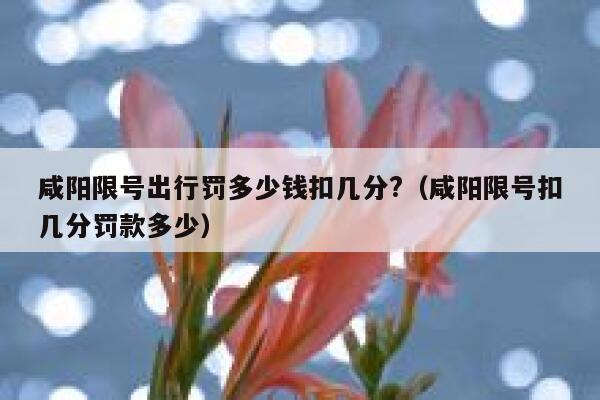 咸阳限号出行罚多少钱扣几分?（咸阳限号扣几分罚款多少） 第1张