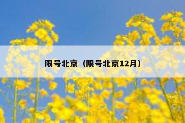 限号北京（限号北京12月） 第1张