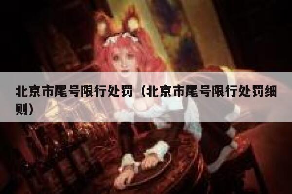 北京市尾号限行处罚（北京市尾号限行处罚细则） 第1张