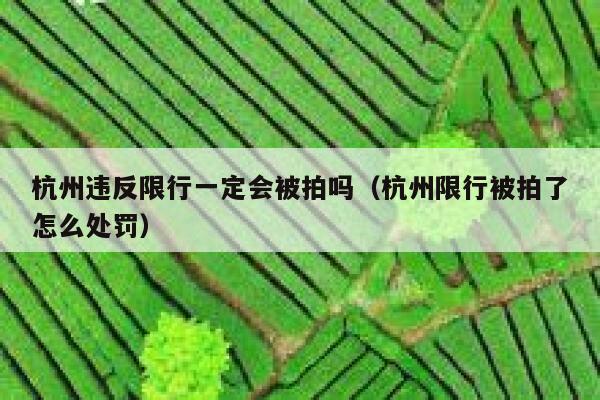 杭州违反限行一定会被拍吗（杭州限行被拍了怎么处罚） 第1张