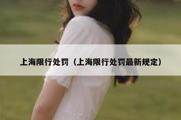上海限行处罚（上海限行处罚最新规定） 第1张