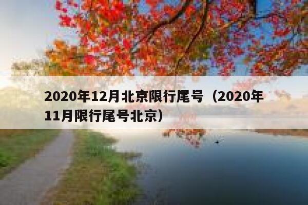 2020年12月北京限行尾号（2020年11月限行尾号北京） 第1张