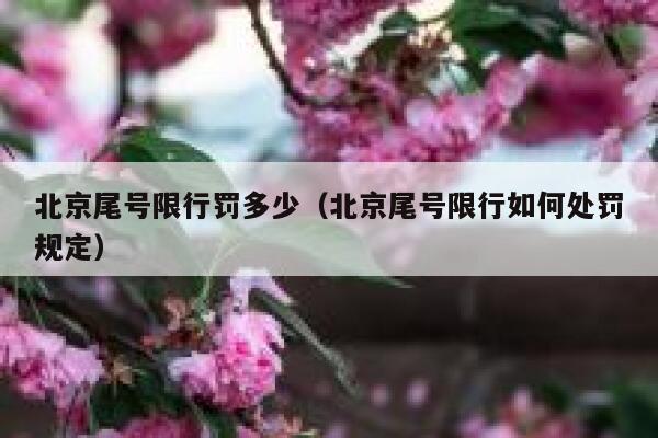 北京尾号限行罚多少（北京尾号限行如何处罚规定） 第1张