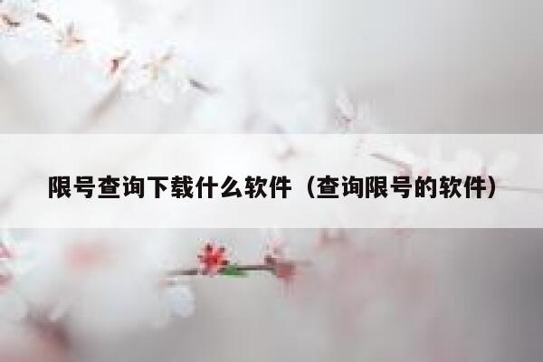 限号查询下载什么软件（查询限号的软件） 第1张