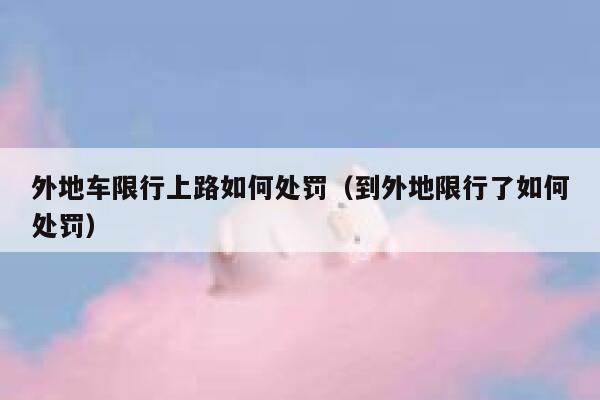 外地车限行上路如何处罚（到外地限行了如何处罚） 第1张