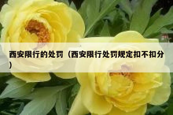 西安限行的处罚（西安限行处罚规定扣不扣分） 第1张