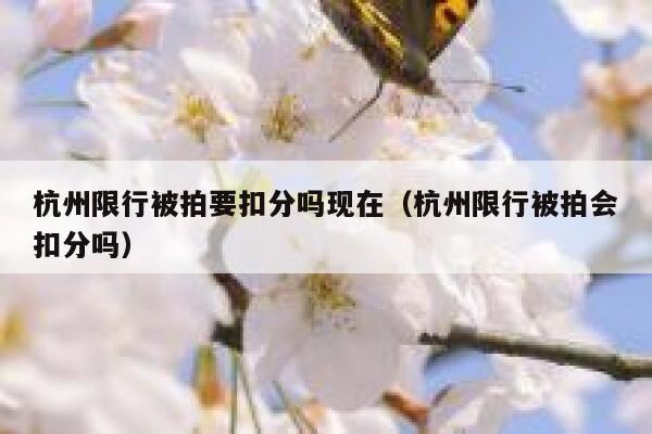 杭州限行被拍要扣分吗现在（杭州限行被拍会扣分吗） 第1张