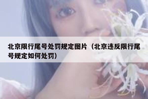 北京限行尾号处罚规定图片（北京违反限行尾号规定如何处罚） 第1张