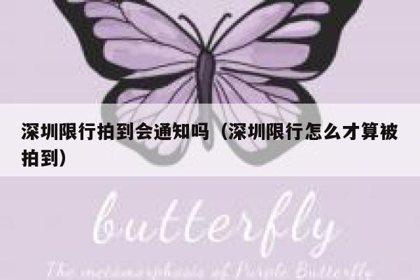 深圳限行拍到会通知吗（深圳限行怎么才算被拍到） 第1张