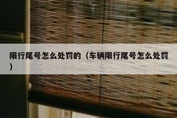 限行尾号怎么处罚的（车辆限行尾号怎么处罚） 第1张