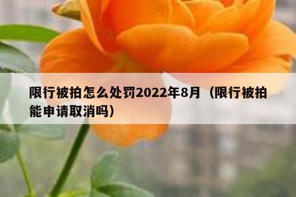 限行被拍怎么处罚2022年8月（限行被拍能申请取消吗） 第1张