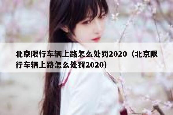 北京限行车辆上路怎么处罚2020（北京限行车辆上路怎么处罚2020） 第1张