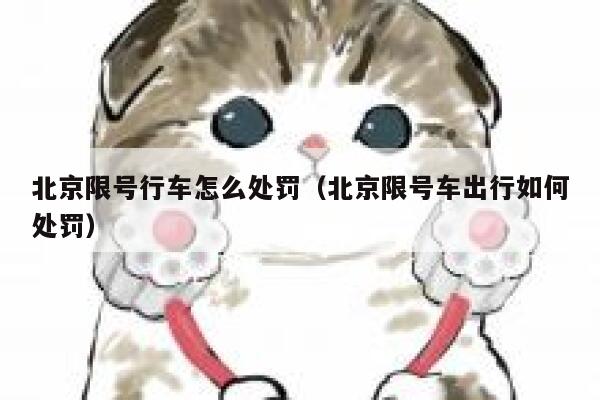 北京限号行车怎么处罚（北京限号车出行如何处罚） 第1张