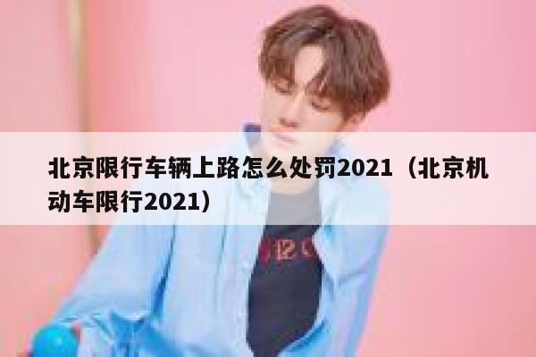 北京限行车辆上路怎么处罚2021（北京机动车限行2021） 第1张