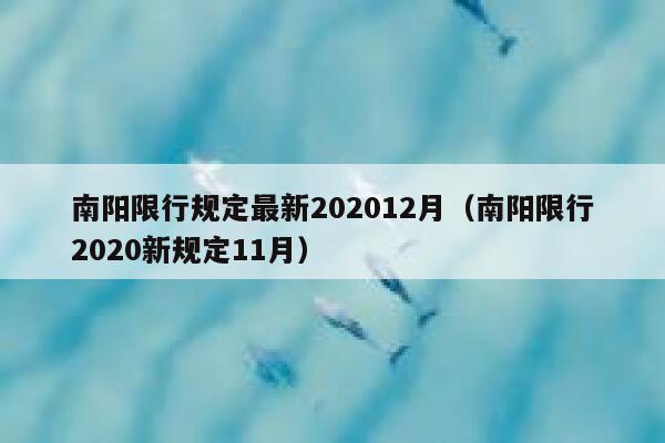 南阳限行规定最新202012月（南阳限行2020新规定11月） 第1张