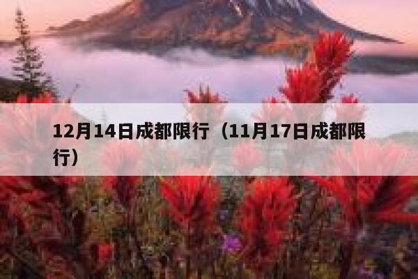 12月14日成都限行（11月17日成都限行） 第1张