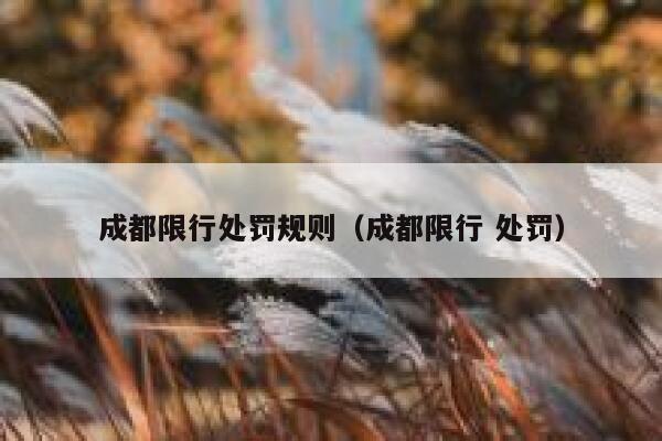 成都限行处罚规则（成都限行 处罚） 第1张