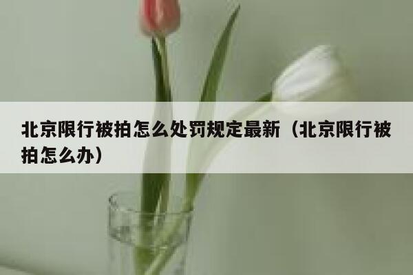 北京限行被拍怎么处罚规定最新（北京限行被拍怎么办） 第1张