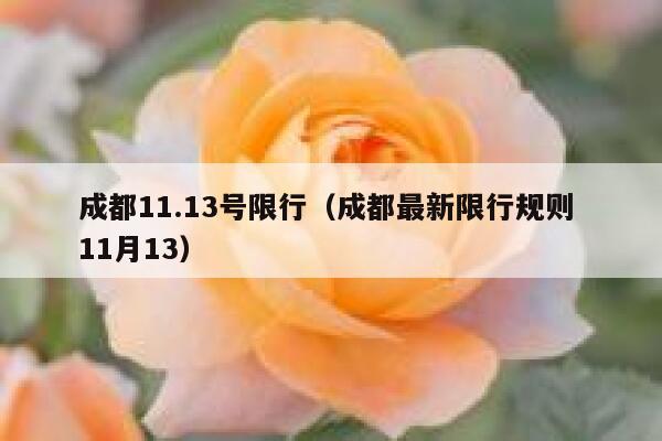 成都11.13号限行（成都最新限行规则 11月13） 第1张