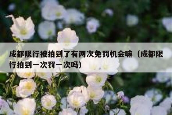 成都限行被拍到了有两次免罚机会嘛（成都限行拍到一次罚一次吗） 第1张