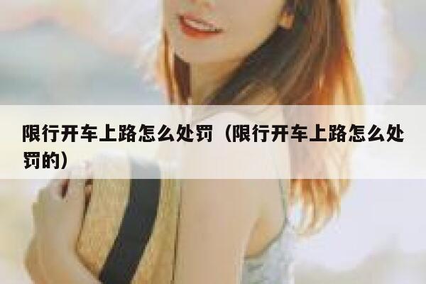 限行开车上路怎么处罚（限行开车上路怎么处罚的） 第1张