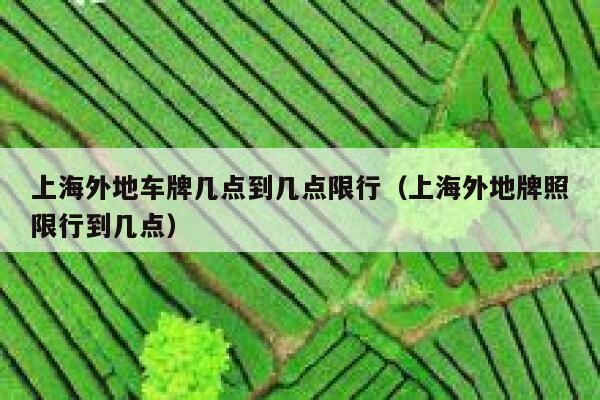 上海外地车牌几点到几点限行（上海外地牌照限行到几点） 第1张
